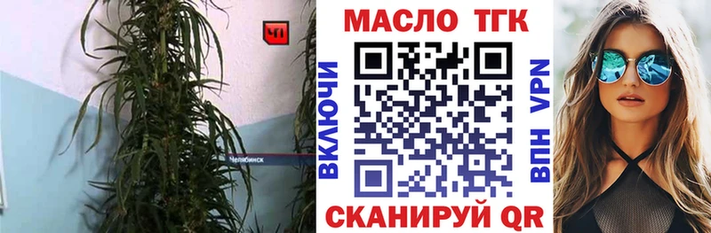 МЕГА онион  Пыталово  ТГК гашишное масло 